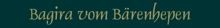 Bagira vom B�renhepen