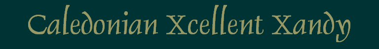Caledonian Xcellent Xandy