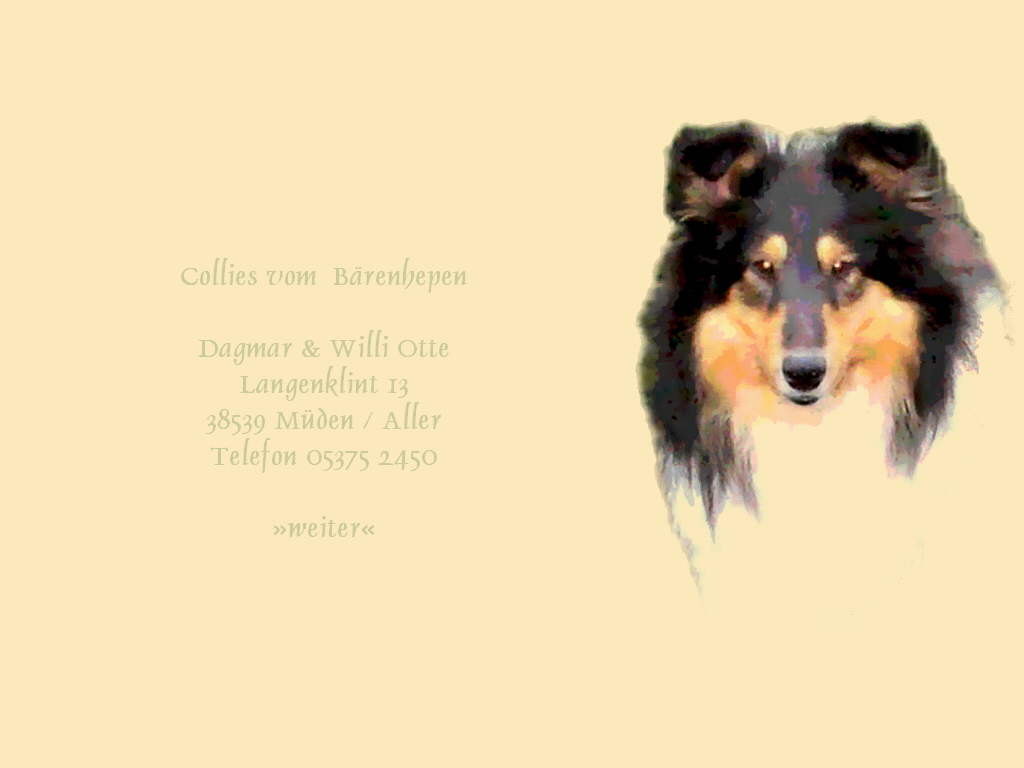 Willkommen bei den Collies vom B�renhepen