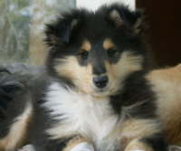 Dustin, Juni 2006