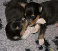 Doni und Dustin
