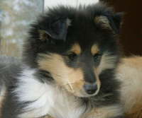 Dustin, Juni 2006