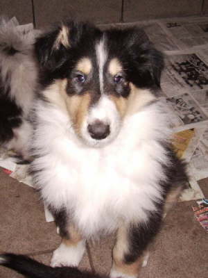 Elroy, 16.01.2007