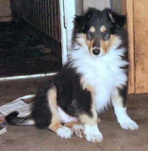 Elvis, 16.01.2007