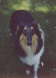Unsere 1. Collieh�ndin �Caroline�
