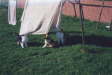 Xynthias Kinder beim W�sche abnehmen.