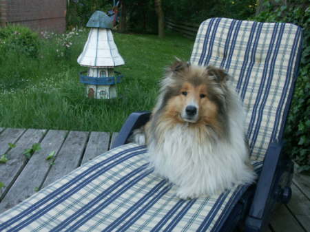 Xandy, Juni 2006