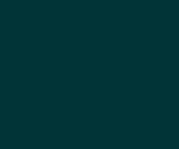 dummy 300 x 251