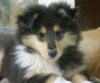 Dustin, Juni 2006